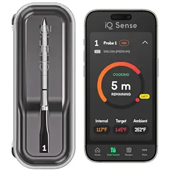 Smart cooking thermometer and app interface