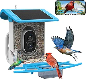 Smart bird feeder capturing bird activity